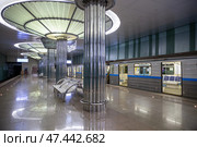 Nizhny Novgorod metro. Strelka station (2023 год). Редакционное фото, фотограф Юлия Бабкина / Фотобанк Лори