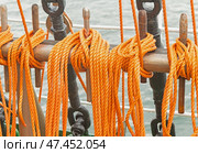 Свернутые корабельные канаты развешанные на палубе парусника. Coiled ship's ropes hung on the deck of a sailing ship. Стоковое фото, фотограф Татьяна Д / Фотобанк Лори