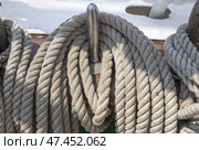 Свернутые корабельные канаты развешанные на палубе парусника. Coiled ship's ropes hung on the deck of a sailing ship. Стоковое фото, фотограф Татьяна Д / Фотобанк Лори