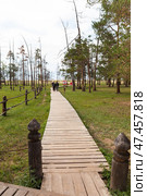 BAIKAL LAKE, OLKHON ISLAND, KHUZHIR VILLAGE, IRKUTSK REGION, RUSSIA - August 03, 2024: Tourists go for walk along ecological wooden trail to popular sandy beach of Sarayskiy Bay. Редакционное фото, фотограф Виктория Катьянова / Фотобанк Лори