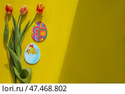 Пасхальные яйца и цветы с местом под текст. Стоковое фото, фотограф Нелли Тумакова / Фотобанк Лори