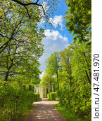 Walkway in the spring the park. Стоковое фото, фотограф Саблин Станислав / Фотобанк Лори
