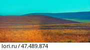 Steppe landscape with rolling hills. The foreground is occupied by thick, dry grass of warm shades - from ochre-yellow to reddish-brown. In the background is a gentle hill with a rocky top and wide shadows from it, and further on is another row of hills stretching beyond the horizon. The sky is bright, clear, with a light turquoise haze, emphasizing the boundless breadth of the steppes. The atmosphere is calm, spacious and lightly heated. Стоковое фото, фотограф Анна Кривицкая / Фотобанк Лори