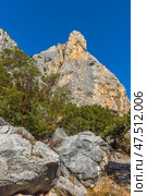 Crimean mountain landscape - a rocky cliff with a sheer wall against the backdrop of a bright blue sky. The massive rock is made of grey-orange limestone, the surface of which is covered with cracks and ledges. Evergreen trees grow below, probably junipers and sumac. Large stones and dry vegetation at the foot are also visible in the frame. The atmosphere of silence, nature and the power of the mountains. Стоковое фото, фотограф Анна Кривицкая / Фотобанк Лори