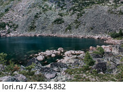 Emerald colored mountain lake surrounded by stones and coniferous trees. Summer nature landscape. Secluded shore of pond. Стоковое фото, фотограф Екатерина Якименко / Фотобанк Лори