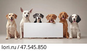 A diverse group of dogs featuring a greyhound and shiba inu showcases the beauty of various breeds. This dynamic scene captures the vibrant personalities and captivating variety of canine companions. Стоковое AI-изображение, AI-художник Nart / Фотобанк Лори