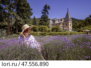 A woman is sitting in a field of purple flowers. Стоковое фото, фотограф svetograph / Фотобанк Лори