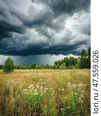 Summer thunderstorm. Landscape. Стоковое AI-изображение, AI-художник Сергей Елизарьев / Фотобанк Лори