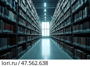 Ряды металлических шкафов в архиве. Стоковое AI-изображение, AI-художник Анна Рогалева / Фотобанк Лори