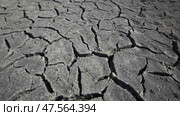 Parched, fractured landscape revealing devastating drought effects across arid crimean terrain, signaling escalating climate crisis. Стоковое видео, видеограф Mikhail Davidovich / Фотобанк Лори