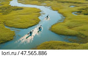 Kayakers paddling through a serene green marsh. Стоковое AI-видео, аниматор Юрий Поздников / Фотобанк Лори