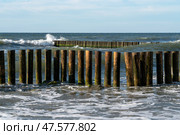 View of the Baltic Sea and wooden breakwaters of the city beach on a sunny summer day, Svetlogorsk, Kaliningrad region, Russia. Стоковое фото, фотограф Ula Ulachka / Фотобанк Лори