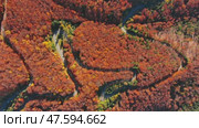 Curved road trough autumn forest. Стоковое видео, видеограф Михаил Коханчиков / Фотобанк Лори
