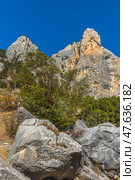 Crimean mountain landscape - a rocky cliff with a sheer wall against the backdrop of a bright blue sky. The massive rock is made of grey-orange limestone, the surface of which is covered with cracks and ledges. Evergreen trees grow below, probably junipers and sumac. Large stones and dry vegetation at the foot are also visible in the frame. The atmosphere of silence, nature and the power of the mountains. Стоковое фото, фотограф Анна Кривицкая / Фотобанк Лори