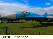 Су-35, центральный музей ВВС, Московская область, п. Монино (2022 год). Редакционное фото, фотограф Ирина / Фотобанк Лори