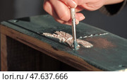 Applying the final decorative paint on an embossed design on a wooden box. Стоковое видео, видеограф PAv / Фотобанк Лори