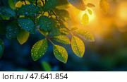 Sunlit Dewdrops on Green Leaves at Dawn. Стоковое AI-изображение, AI-художник Данила Большаков / Фотобанк Лори