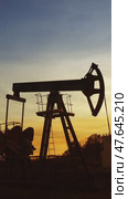 Many working oil pumps silhouette against sunset. Стоковое видео, видеограф Михаил Коханчиков / Фотобанк Лори