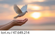 Versa hands set a pigeon free at sunset against a colorful sky. Руки  отпускают  голубя на закате на фоне красочного неба. Стоковое AI-изображение, AI-художник Katsiaryna Repich / Фотобанк Лори