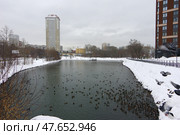 Пруд на речке Ольховке в Екатеринбурге (2021 год). Редакционное фото, фотограф Алексей Иванов / Фотобанк Лори