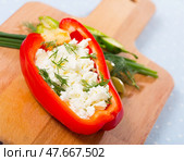 Stuffed half of pepper with brynza, dish of Bulgarian cuisine. Стоковое фото, фотограф Яков Филимонов / Фотобанк Лори