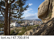 Крым судак (2021 год). Стоковое фото, фотограф Ольга Дубровская / Фотобанк Лори