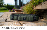 Olive Green Padded Belt Outdoors: Stylish and Durable Accessory. Стоковое AI-изображение, AI-художник Данила Большаков / Фотобанк Лори
