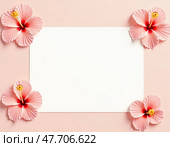 Delicate pink hibiscus flowers gracefully encircle a blank rectangular space on a soft peach backdrop, inviting creativity and personalization for art or messages Generative AI. Стоковое AI-изображение, AI-художник Юлия Петровская / Фотобанк Лори