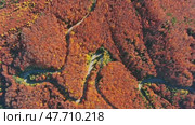 Curved road trough autumn forest. Стоковое видео, видеограф Михаил Коханчиков / Фотобанк Лори