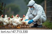 Biosecurity in poultry farming careful handling of chickens. Стоковое AI-изображение, AI-художник Андрей Бакусов / Фотобанк Лори