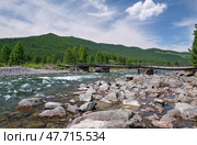 Старый деревянный мост через реку Башкаус на Алтае. Old wooden damaged bridge over Altai river Bashkaus. On the river banks there is siberian larch taiga forest. Стоковое фото, фотограф Сергей Пристяжнюк (Serg Zastavkin) / Фотобанк Лори