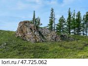 Горный пейзаж. Стоковое фото, фотограф Александр Галинский / Фотобанк Лори