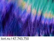 Abstract painted background. Multi-colored pattern in the shibori technique on a thin knitted fabric. Multi-color texture. batik.Textile shibori. Ткань окрашена методом узелковый батик. Стоковое фото, фотограф Ольга Солопова / Фотобанк Лори