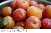 Макро крупным планом маринованная японская слива, подчеркивающая текстуру и детали. Стоковое AI-изображение, AI-художник ФотоИнтеллект / Фотобанк Лори