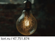 Light bulb filled with tangled roots illuminates a unique concept. Лампочка, наполненная спутанными корнями, освещает уникальную концепцию. Стоковое AI-изображение, AI-художник Katsiaryna Repich / Фотобанк Лори