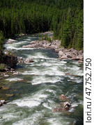 Altai river Chulyshman rapids. On the river banks there is siberian larch taiga forest. Стоковое фото, фотограф Сергей Пристяжнюк (Serg Zastavkin) / Фотобанк Лори
