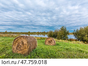 Осенний пейзаж с высококучевыми облаками. Валы сена у реки.  Колыванский район Новосибирской области. Западная Сибирь России. Стоковое фото, фотограф Евгений Мухортов / Фотобанк Лори