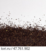 Dry leaves of darjeeling black tea on white background. Стоковое фото, фотограф Елена Добрынина / Фотобанк Лори