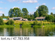 Деревня Водла (2024 год). Стоковое фото, фотограф Светлана Труфанова / Фотобанк Лори