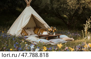 Cozy outdoor setup features a teepee with cushions and a cake surrounded by wildflowers in a serene countryside setting. Стоковое AI-изображение, AI-художник Сергей Толмачёв / Фотобанк Лори