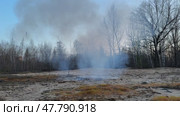 A green barrel is sitting in the dirt next to a tree. Explosion of a very powerful firecracker. Стоковое видео, видеограф Надежда Кап / Фотобанк Лори