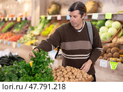 Shopping for vegetables in supermarket - man selects ripe parsley. Стоковое фото, фотограф Яков Филимонов / Фотобанк Лори