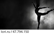 A ballerina is executing a breathtaking trick in mid-air, showcasing strength and grace in her movement. Стоковое AI-изображение, AI-художник Данила Большаков / Фотобанк Лори