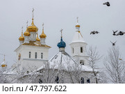 Вид на крыши и купола православной церкви. В небе летит стая голубей. Снег на крышах. Собор Сошествия Святого Духа на апостолов, город Магадан, Магаданская область, Дальний Восток России. (2023 год). Стоковое фото, фотограф Андрей Степанов / Фотобанк Лори