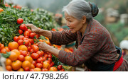 An older woman carefully examines vibrant, ripe tomatoes while shopping at a lively outdoor market in her local community. Стоковое AI-изображение, AI-художник Данила Большаков / Фотобанк Лори