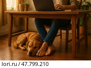 Sleeping dog under remote worker's desk in cozy home setting. Стоковое AI-изображение, AI-художник Максим Гребешков / Фотобанк Лори