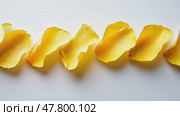 Vibrant yellow petals shift gracefully in elegant timelapse sequence. Стоковое AI-видео, аниматор Sabyna75 / Фотобанк Лори