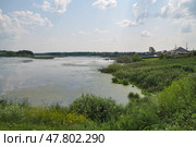 Река Юрга летним днем. Село Юргинское. Тюменская область (2016 год). Стоковое фото, фотограф Александр Тараканов / Фотобанк Лори