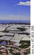 Aerial perspective revealing verdant greenhouse cultivation sprawling across fertile turkish terrain, framing azure skies and distant coastal horizons with geometric agricultural precision. Стоковое видео, видеограф ILIA GOROKHOV / Фотобанк Лори