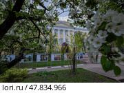 Факультет журналистики МГУ им.М.В.Ломоносова. Редакционное фото, фотограф PLENKI.NET / Фотобанк Лори